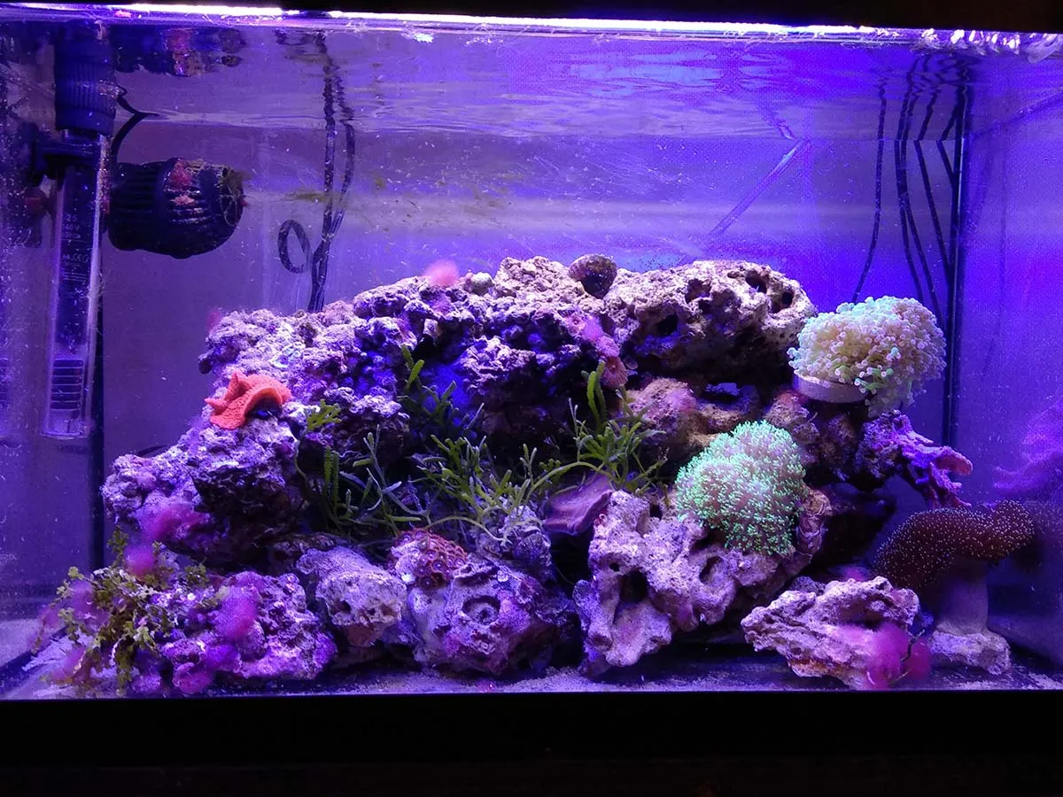 Immagine della storia di Medakando