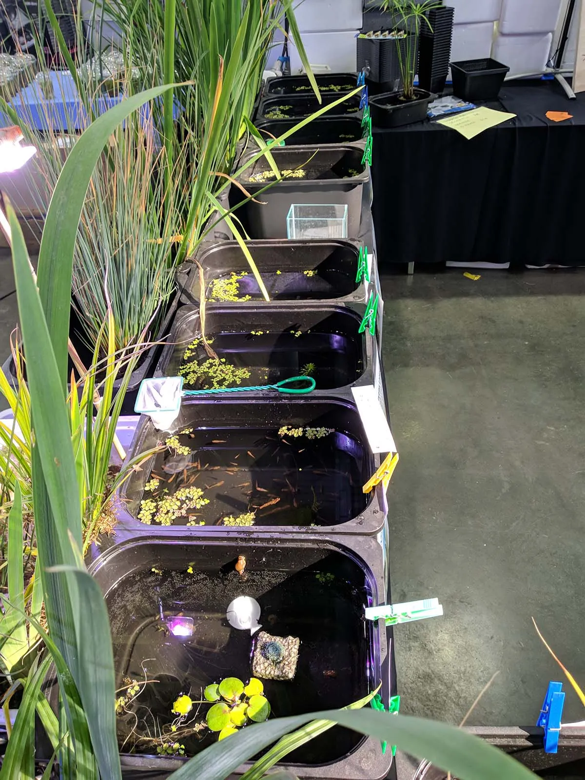 Immagine della storia di Medakando