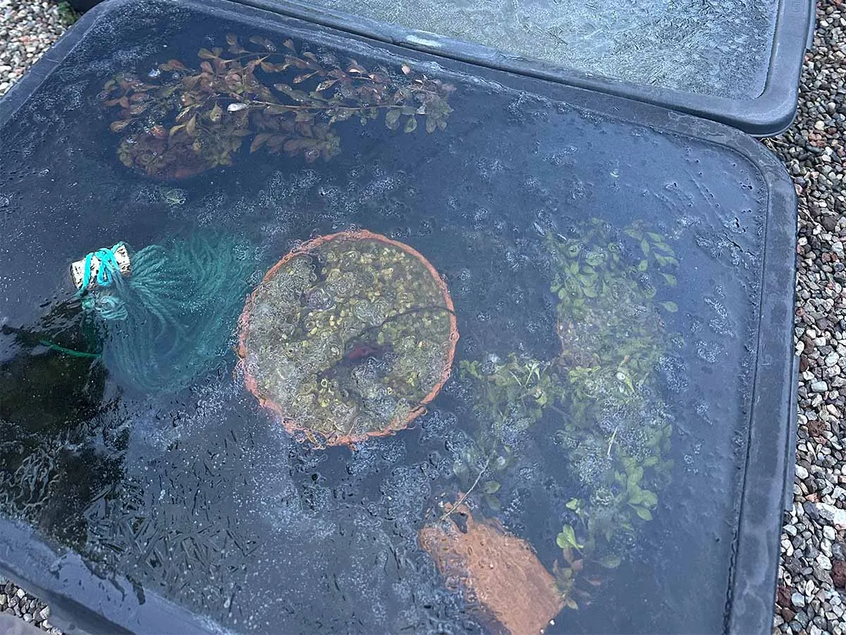 Un minipond con ghiaccio