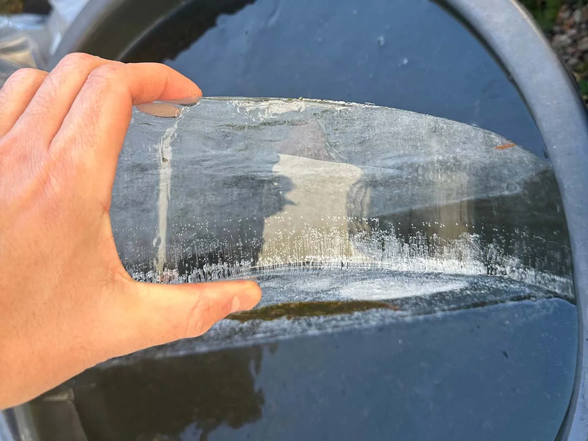 ghiaccio in un minipond