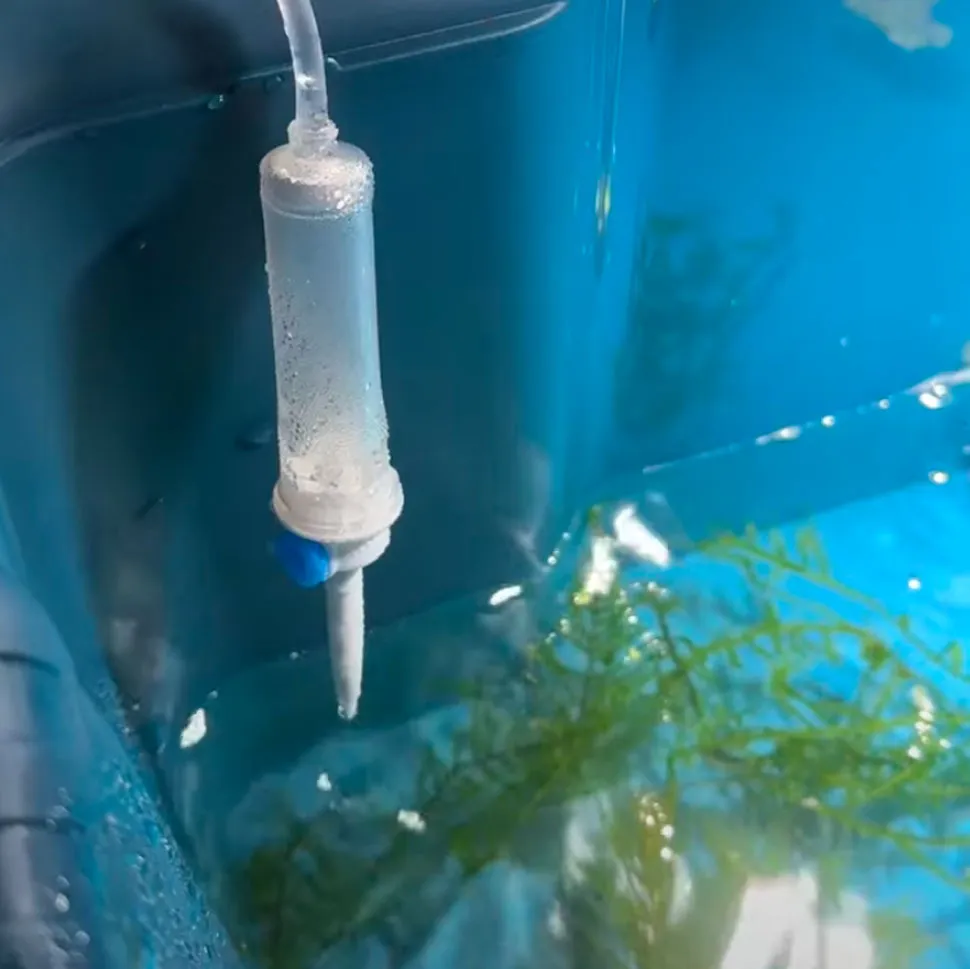 cambio di acqua